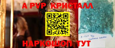 кокс Кингисепп