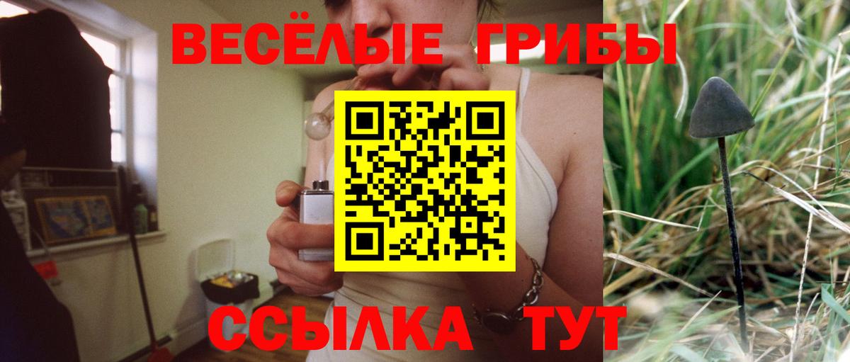 Краснокаменск  Галлюциногенные грибы мицелий  Псилоцибиновые грибы MAGIC MUSHROOMS  Вход с VPN 