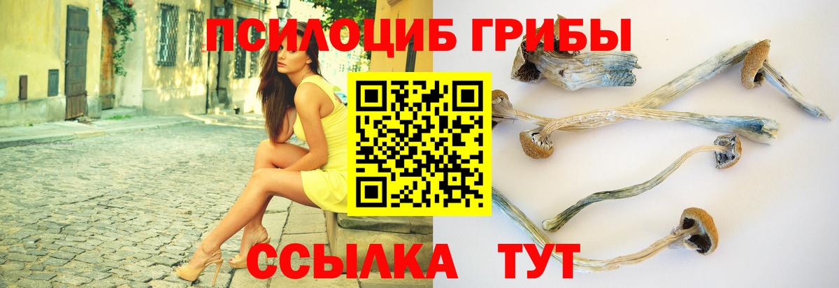 Галлюциногенные грибы Cubensis Краснокаменск